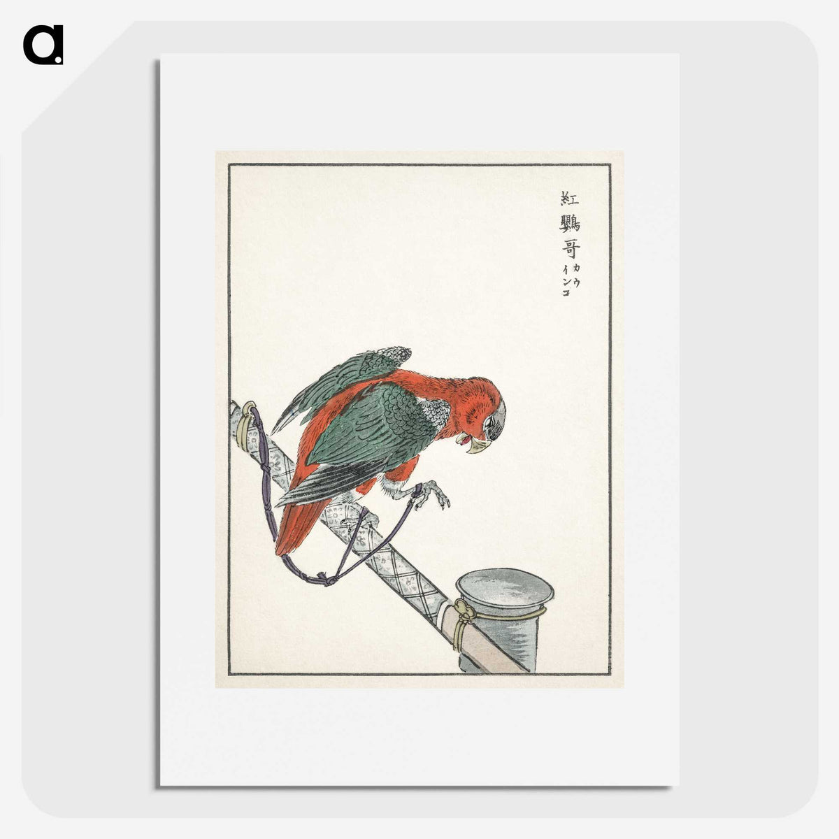 1-63_Pictorial-Monograph-of-Birds_picture