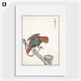 1-63_Pictorial-Monograph-of-Birds_picture