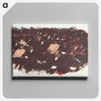 1-63_Pierre-Bonnard_canvas