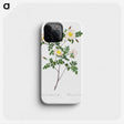1-63_Pierre-Joseph-Redoute_phone