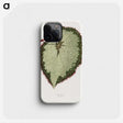 1-63_Plants-with-Colored-Foliage_phone