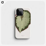 1-63_Plants-with-Colored-Foliage_phone