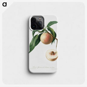 1-63_Pomona-Italiana_phone