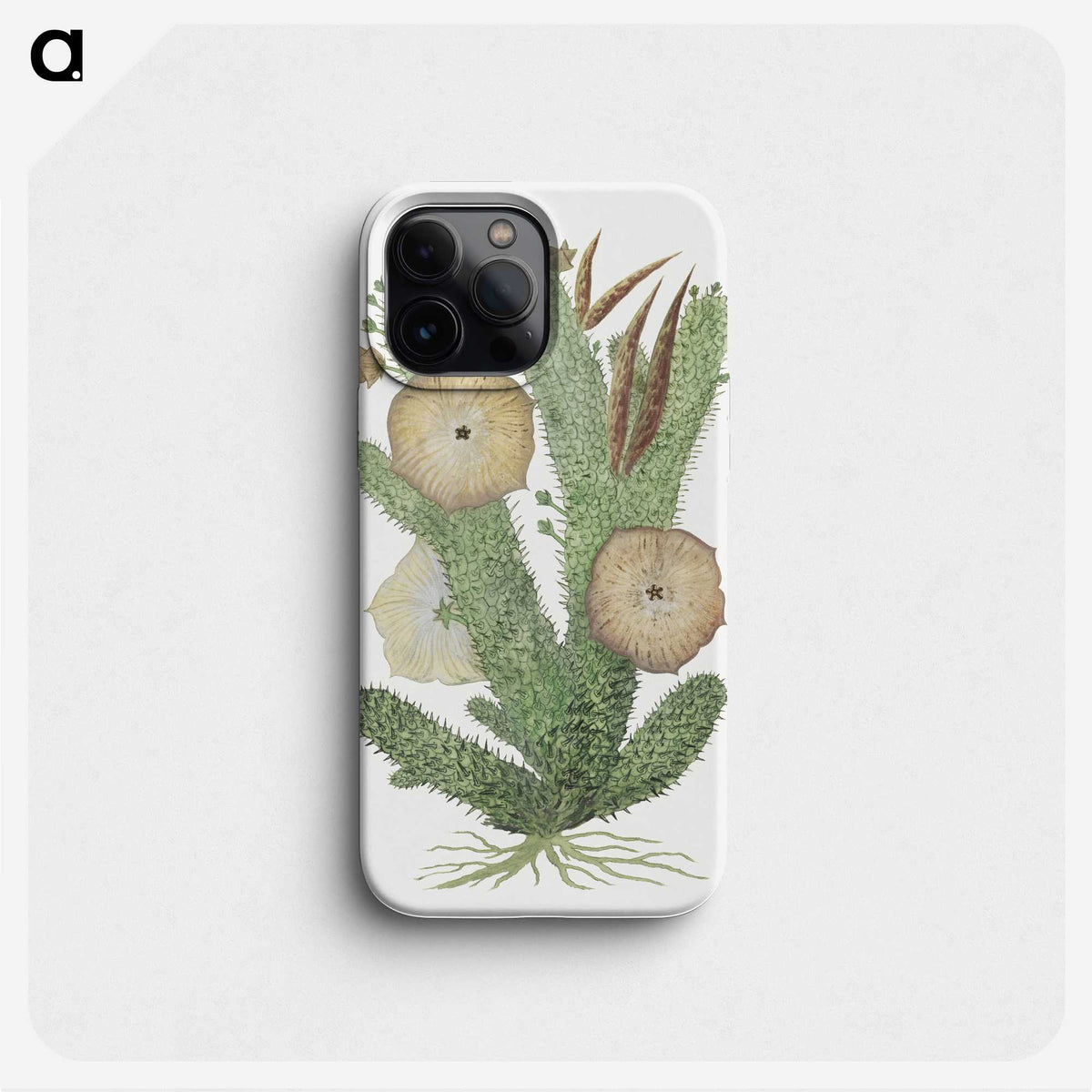1-63_Robert-Jacob-Gordon_phone