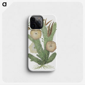 1-63_Robert-Jacob-Gordon_phone