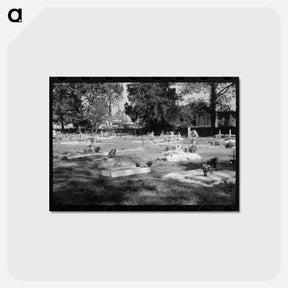 アートポストカード-Decorated Graves, New Roads
 - ラッセル リー Postcard.
