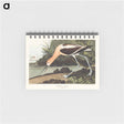 アートメモ帳-American Avocet from Birds of America
 - アメリカの鳥たち Memo.