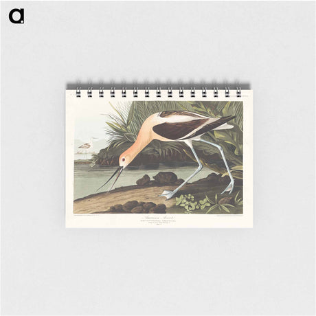 アートメモ帳-American Avocet from Birds of America
 - アメリカの鳥たち Memo.