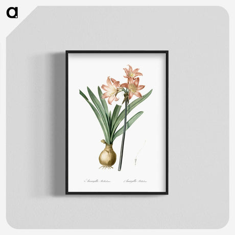 1-63_The-Lilies_blk-crop