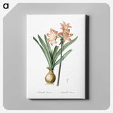 1-63_The-Lilies_canvas