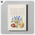 アートパネル-Spanish Chestnut, English Iris, and European Filbert
 - 書道のお手本 Canvas.