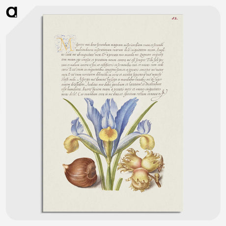 1-63_The-Model-Book-of-Calligraphy_picture-crop