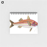 1-63_The-Natural-History-of-British-Fishes_memo