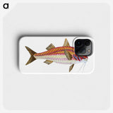 1-63_The-Natural-History-of-British-Fishes_phone