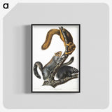1-63_The-Viviparous-Quadrupeds_blk-crop