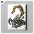 1-63_The-Viviparous-Quadrupeds_canvas