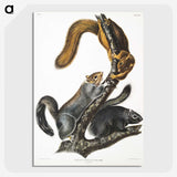 1-63_The-Viviparous-Quadrupeds_picture-crop