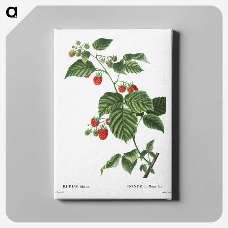 1-63_Treatise-on-Trees-and-Shrubs_canvas