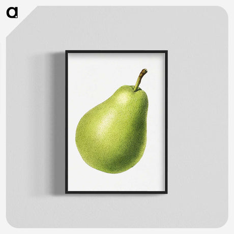 1-63_USDA-Watercolor-Fruit-Painting-Collection_blk-crop