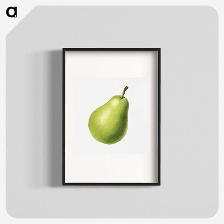 1-63_USDA-Watercolor-Fruit-Painting-Collection_blk