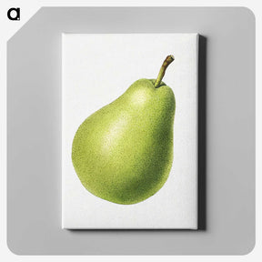 1-63_USDA-Watercolor-Fruit-Painting-Collection_canvas