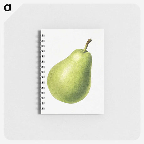 1-63_USDA-Watercolor-Fruit-Painting-Collection_memo