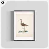 Common greenshank - Wilhelm von Wright Poster.