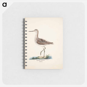 アートメモ帳-Common greenshank - ヴィルヘルム フォン ライト Memo.