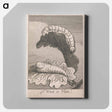 アートパネル-The Gates of Paradise, Plate 1, Frontispiece, "What is Man!" - ウィリアム ブレイク Canvas.