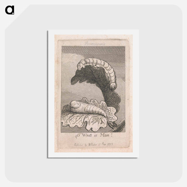 アートポストカード-The Gates of Paradise, Plate 1, Frontispiece, "What is Man!" - ウィリアム ブレイク Postcard.