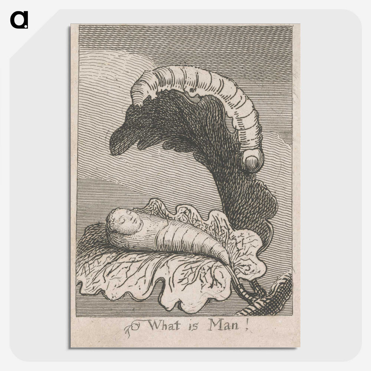 1-63_William-Blake_picture-crop
