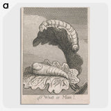 1-63_William-Blake_picture-crop