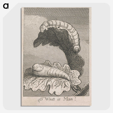 1-63_William-Blake_picture-crop