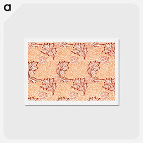 アートポストカード-William Morris's Apple - ウィリアム モリス Postcard.