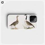 White-fronted Goose (Anser albifrons) Wild Goose (Anser canadensis) illustration from Zoology of New York by - ニューヨークの動物学 Phone Case.