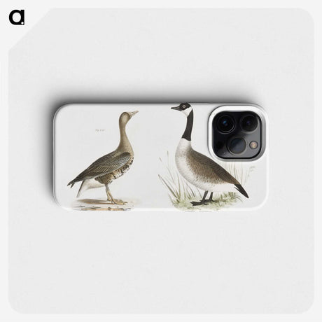 1-63_Zoology-of-New-York_phone