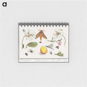 1-64_Anselmus-Boetius-de-Boodt_memo