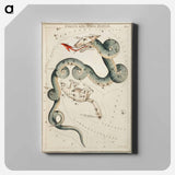 Sidney Hall’s astronomical chart illustration of the Draco and the Ursa Minor - アンティーク地図 Canvas.