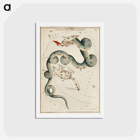 アートポストカード-Sidney Hall’s astronomical chart illustration of the Draco and the Ursa Minor - アンティーク地図 Postcard.