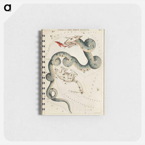 アートメモ帳-Sidney Hall’s astronomical chart illustration of the Draco and the Ursa Minor - アンティーク地図 Memo.