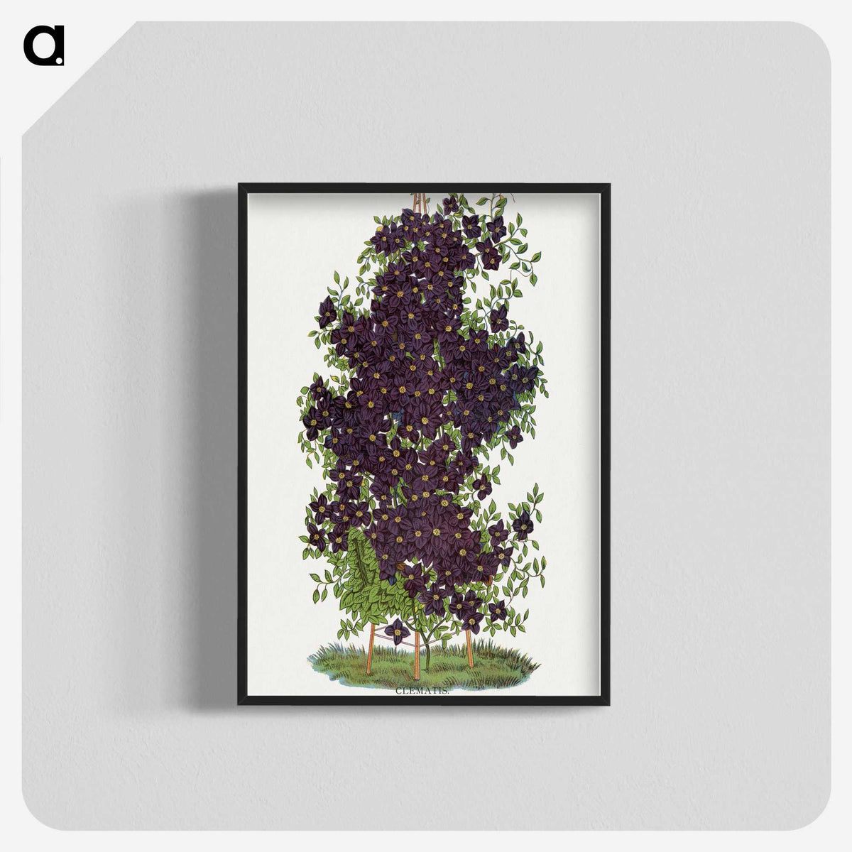 1-64_Botanical-Specimen-Plates_blk-crop