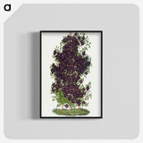 1-64_Botanical-Specimen-Plates_blk-crop