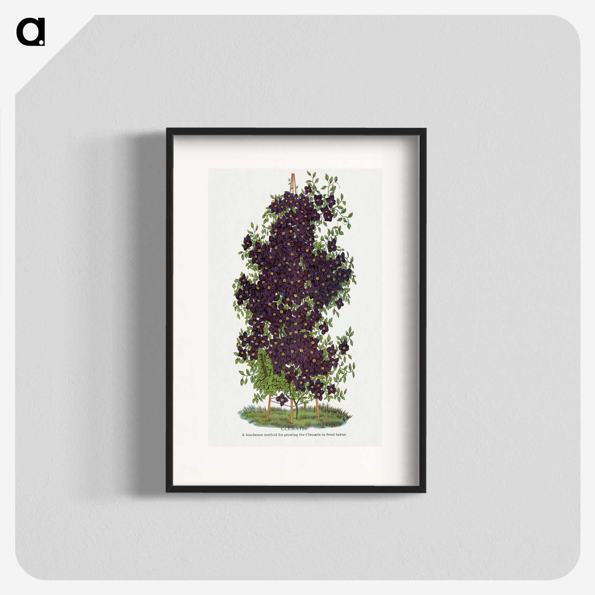 1-64_Botanical-Specimen-Plates_blk
