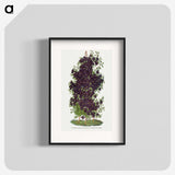 1-64_Botanical-Specimen-Plates_blk