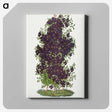 1-64_Botanical-Specimen-Plates_canvas