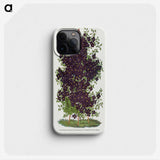1-64_Botanical-Specimen-Plates_phone