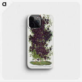 1-64_Botanical-Specimen-Plates_phone