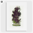 1-64_Botanical-Specimen-Plates_picture