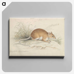1-64_Charles-Hamilton-Smith_canvas