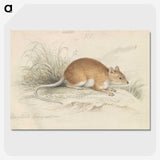 1-64_Charles-Hamilton-Smith_picture-crop